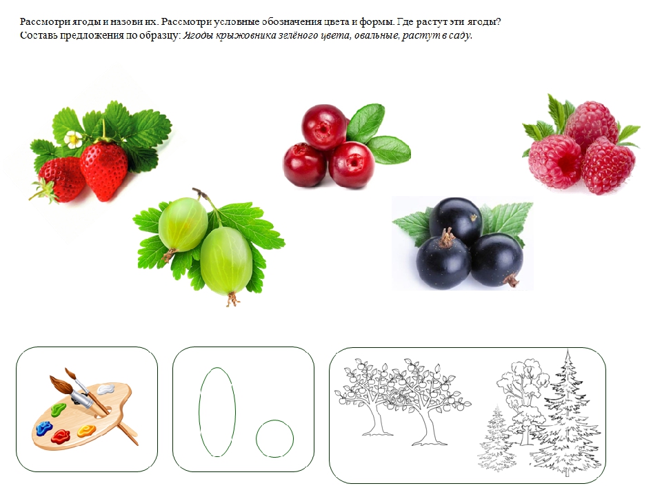 Презентация на тему ягоды для дошкольников