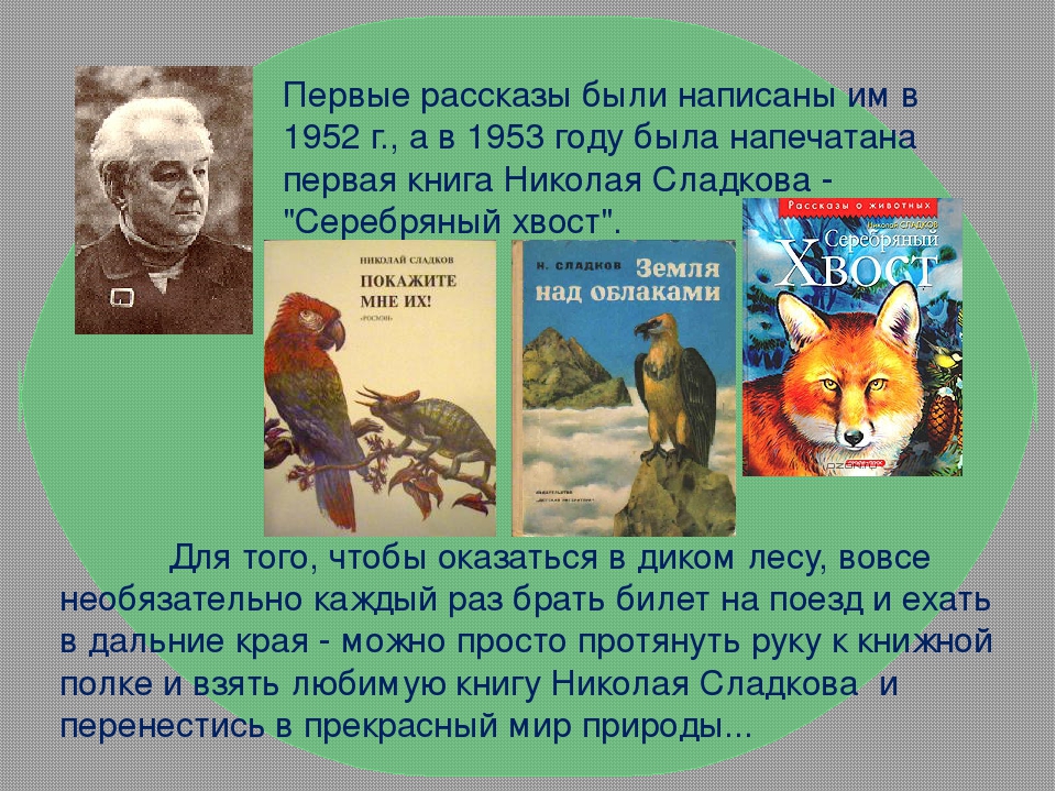 Рассказы н и сладкова лес не школа а всему учит презентация