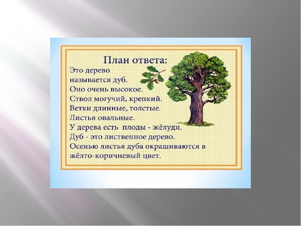 Слова про дерево. Дерево для презентации. Дуб дерево описание. Рассказ о дереве. Сообщение о дереве.