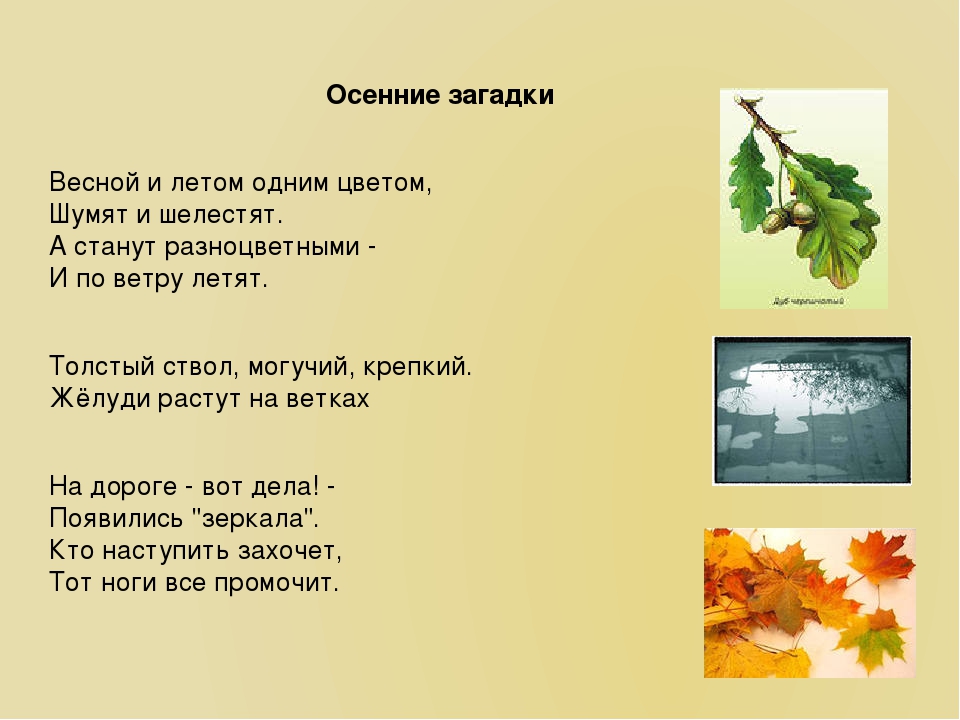 Загадки осень зима. Загадки про осень и весну. Загадки об осени и лете. Загадки про времена года. Загадки про лето и осень.