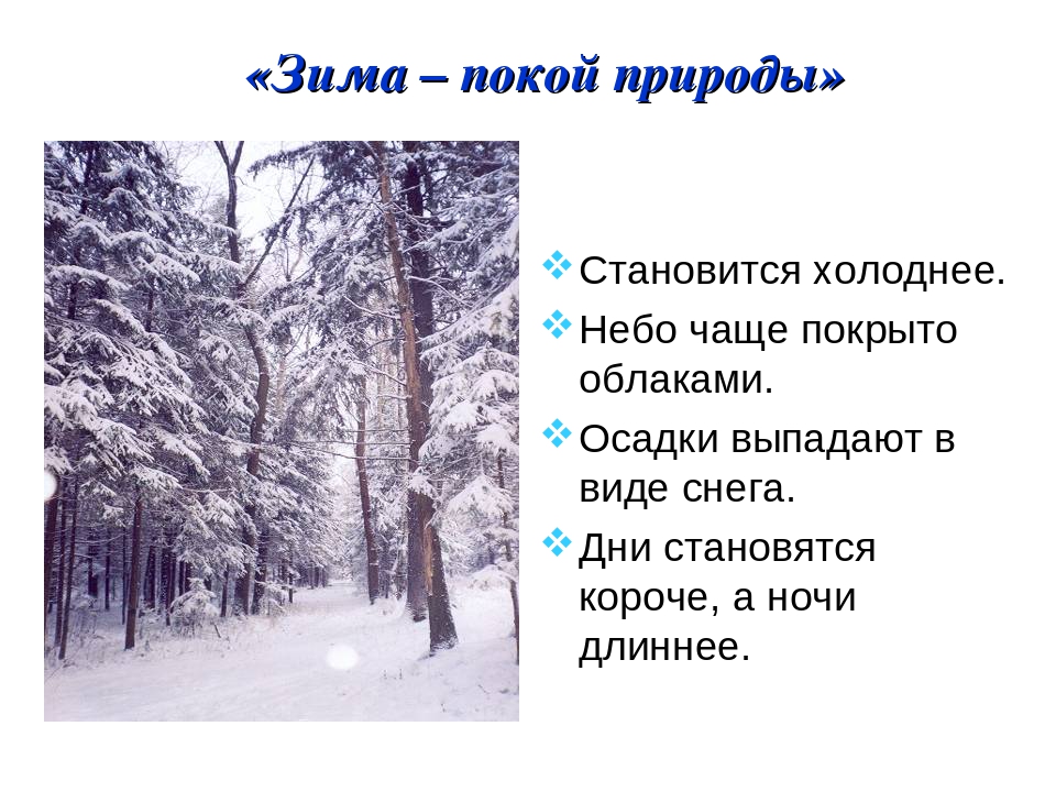 Рассказ тема зима. Презентация на тему зима. Описание зимы. Описание зимы для детей. Сообщение о зиме.