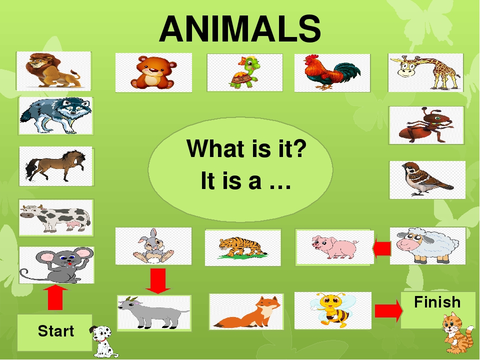 Английский язык 2 класс animals