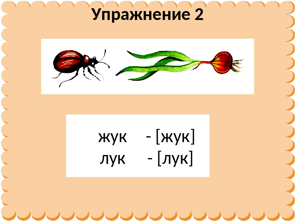 Лук какое слово