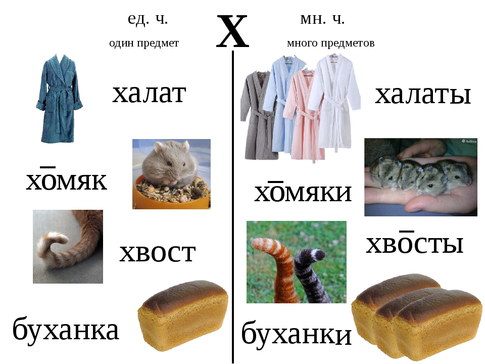 Продукты на букву х. Автоматизация звука х. Автоматизация звука х - хь в словах. Предложения со звуком х. Автоматизация х в словосочетаниях.