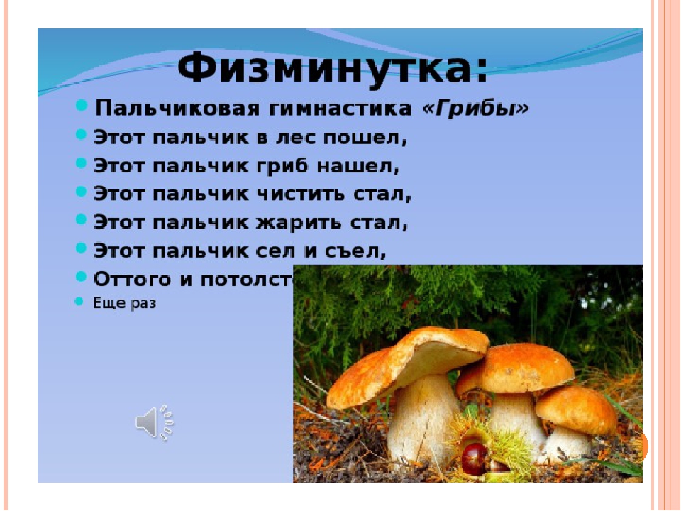 Тексты группы грибы. Пальчиковая гимнастика по грибы средняя группа. Физминутка про грибы. Физкультминутка про грибы. Физкультминутка грибы для дошкольников.