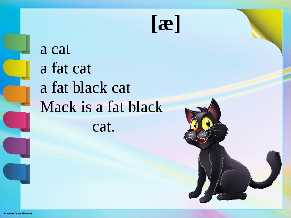1 this is a cat. Кошка на английском языке. Cat стишок на английском. Mack is a fat Black Cat. A Cat a fat Cat a fat Black Cat Mack is a fat Black Cat.