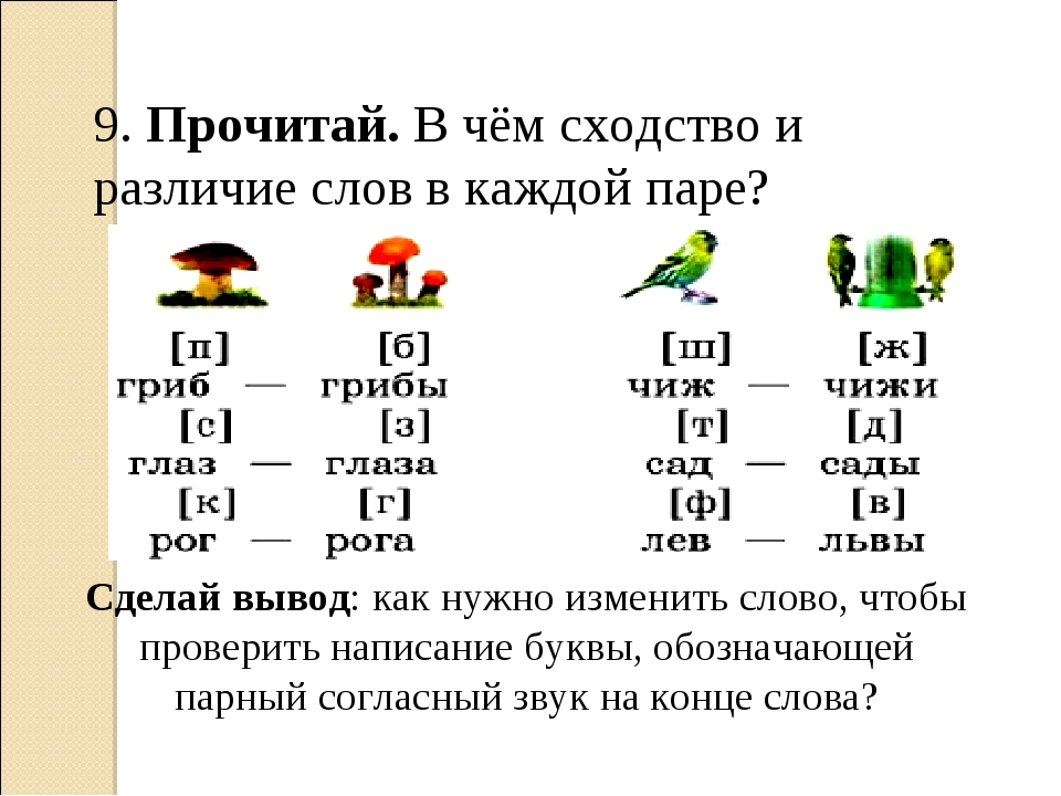 Парные по глухости звонкости согласные 2 класс. Прочитайте в чём сходство и различие слов в каждой паре. В чем сходство и различие слов гриб грибы. Гриб какой звук на конце слова.