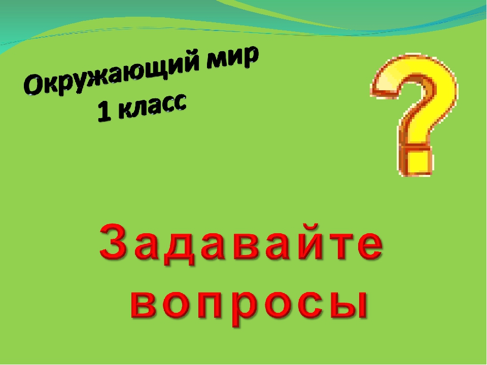 Первый вопрос. Окружающий мир вопросы. Окружающий мир задавайте вопросы. Презентация задавайте вопросы 1 класс. Окружающий мир 1 класс задавайте вопросы.