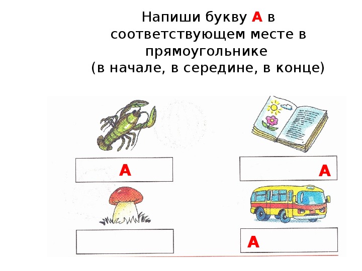 Звук о в середине слова картинки для детей