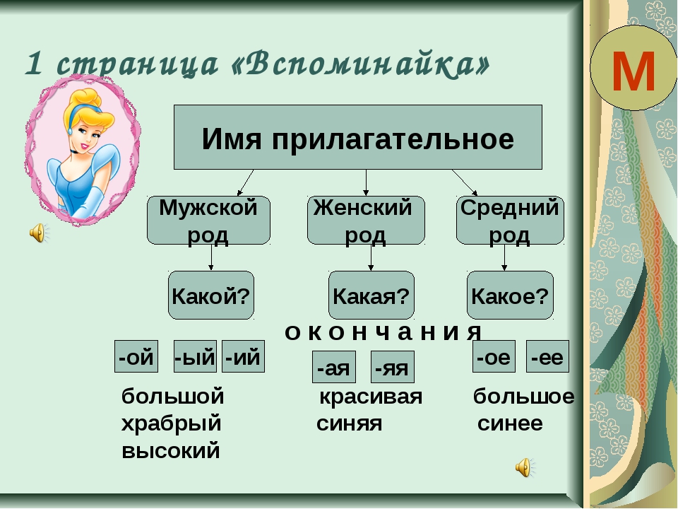 Карточка русский язык прилагательное задания. Имя прилагательное карточки. Род имен прилагательных задания. Род имён прилагательных 2 класс задания. Имя существительное задачи.
