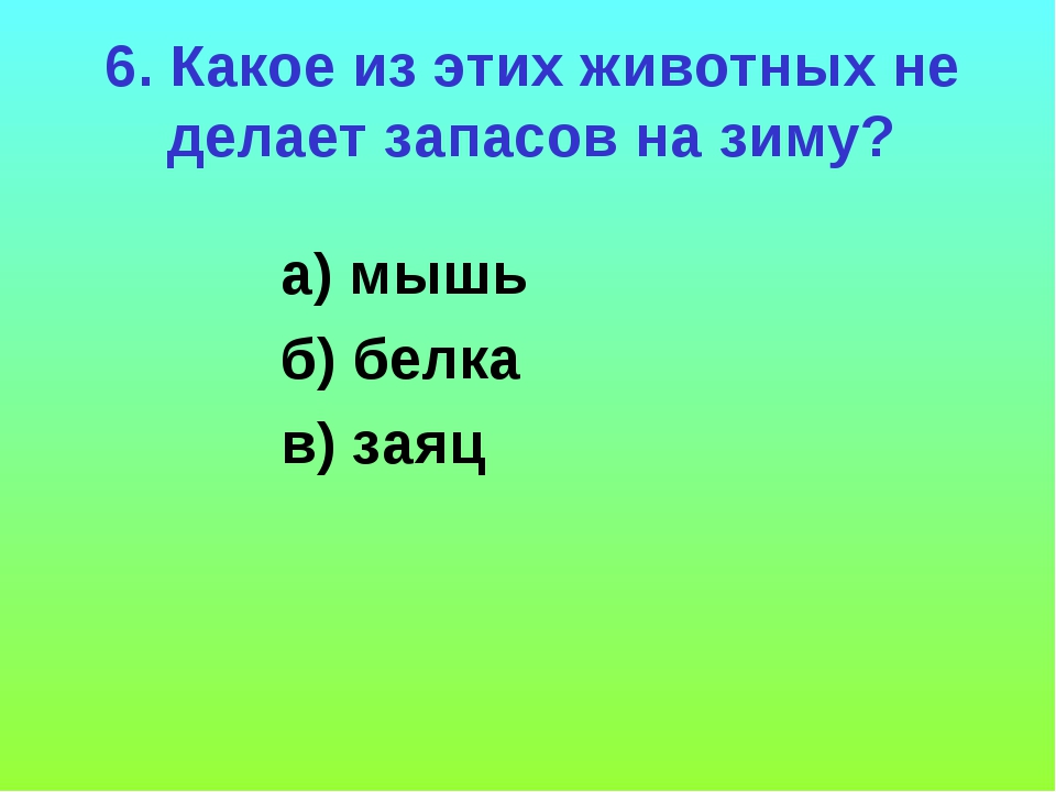 Вопросы по окружающему миру. Вопросы по окружающему миру 2 класс. Вопросы по окружающему миру 1 класс. Окружающий мир вопросы.