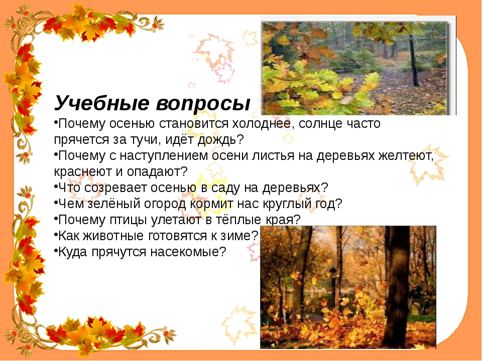 Наступила осень после. Осенние вопросы. Вопросы про осень. Почему осенью. Почему осенью становится холоднее.