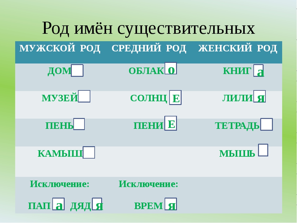 Имя род. Род имен существительных. Род существительных в русском языке. Род имен существительный. Род существительных в русском языке таблица.