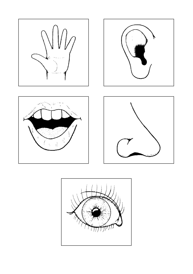 Органы чувств нарисуйте условные знаки. Органы чувств задания для детей. Органы чувств карточки. Органы чувств раскраска.
