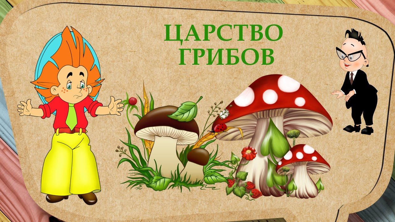 Детская книга про грибы с картинками