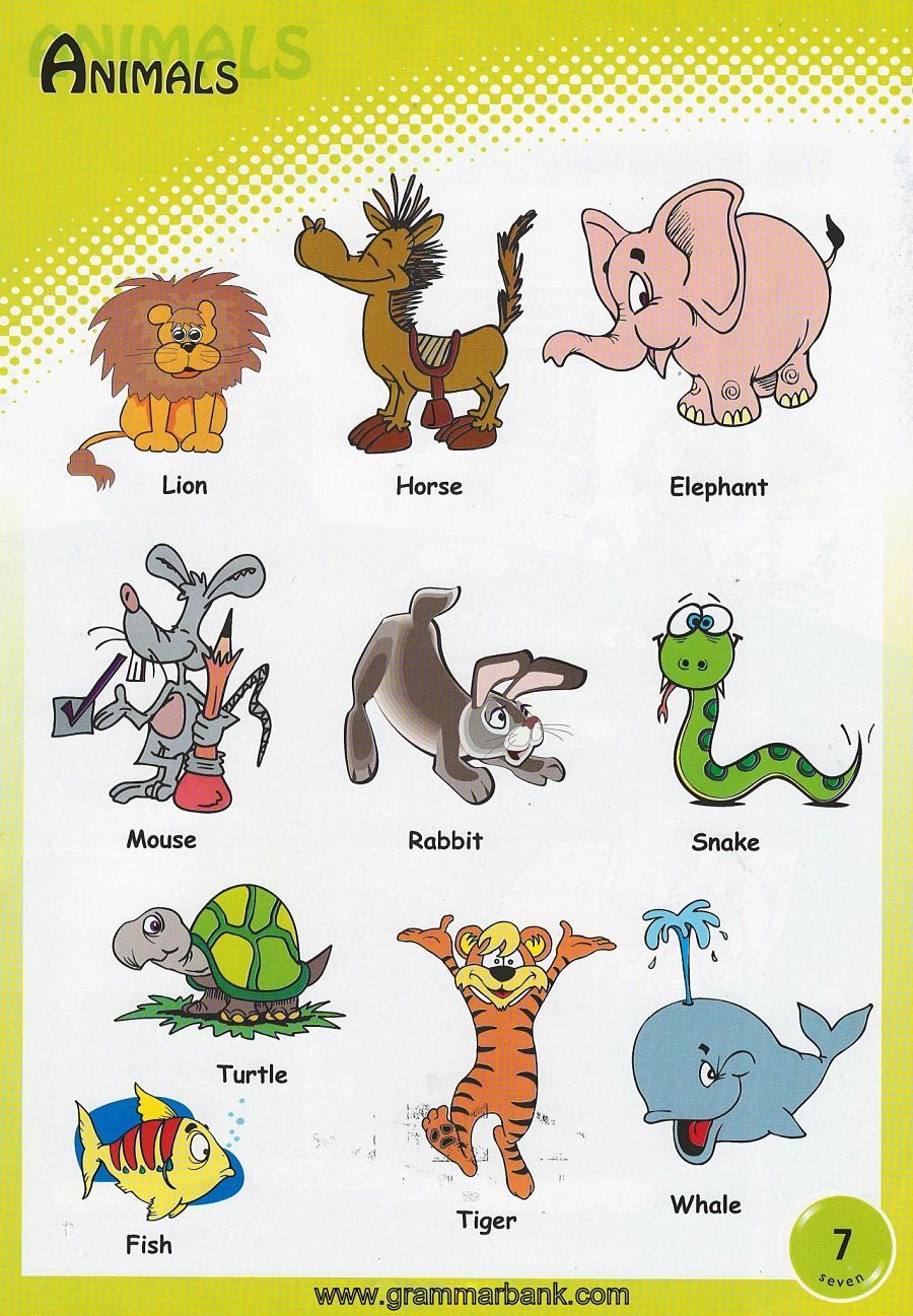 Животные на английском для детей
