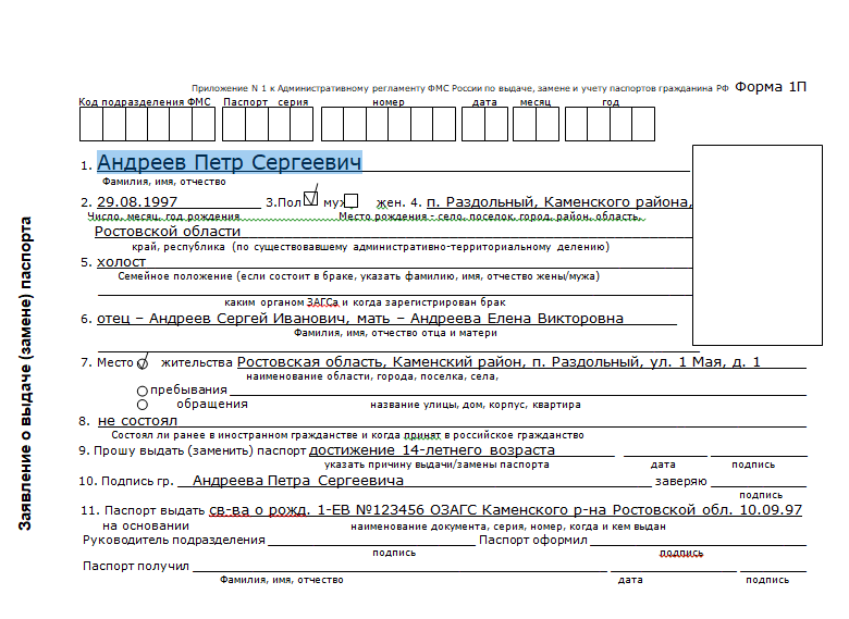 Форма 1п на паспорт образец