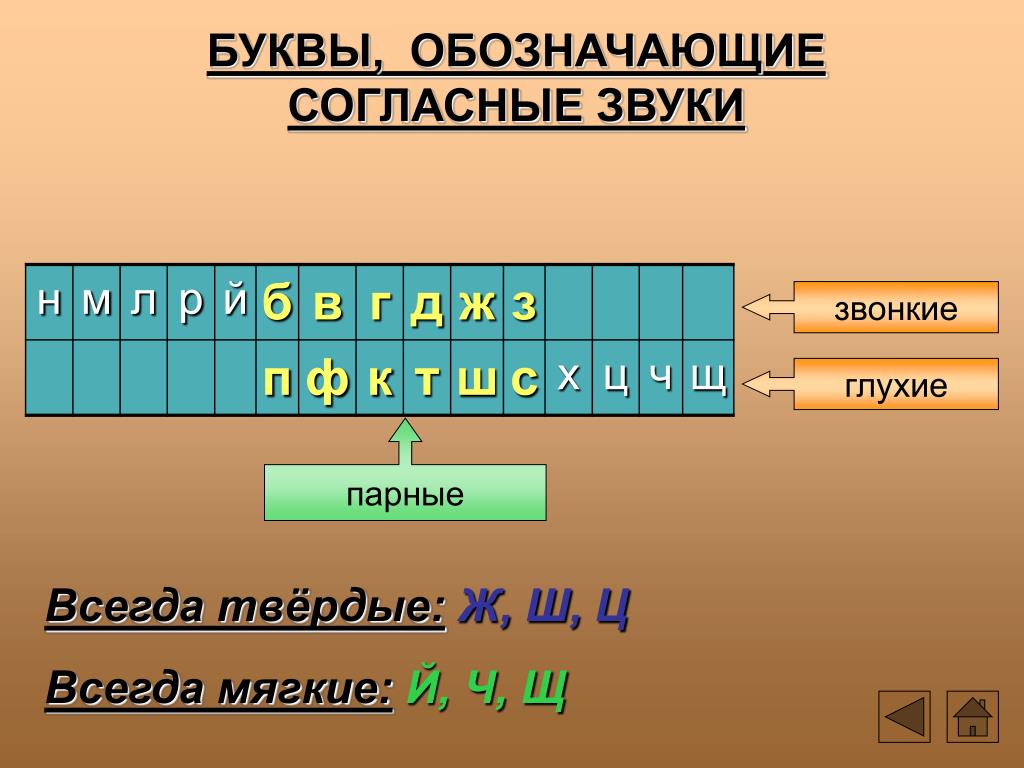 В каком слове все согласные звуки глухие телефон компьютер отгибать тащить