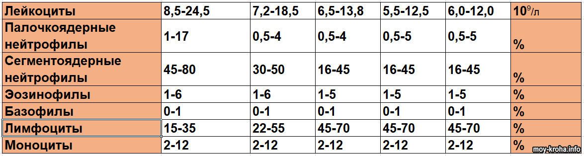 Норма лейкоцитов у ребенка 3 года. Норма лейкоцитов у ребенка 1 год. Палочкоядерные нейтрофилы норма у детей 5 лет. Норма лейкоцитов в 4 года.