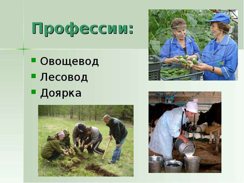 Список сельских профессий