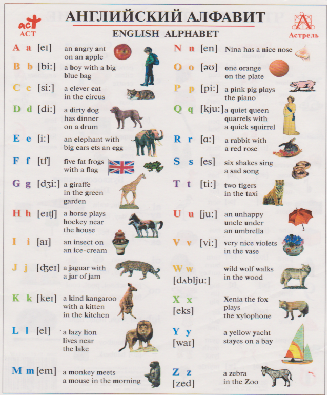Английские глаголы животных
