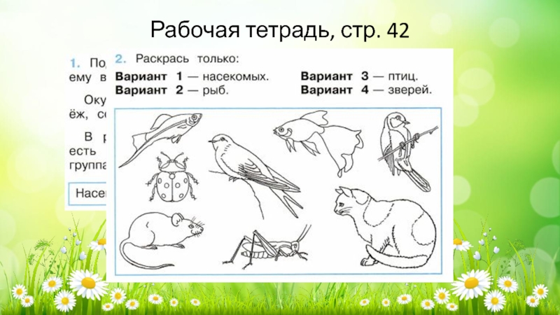 Тест класс животные. Какие бывают животные 2 класс. Задание на тему какие бывают животные. Карточки по окружающему миру. Задание по окружающему миру 2 класс животные.