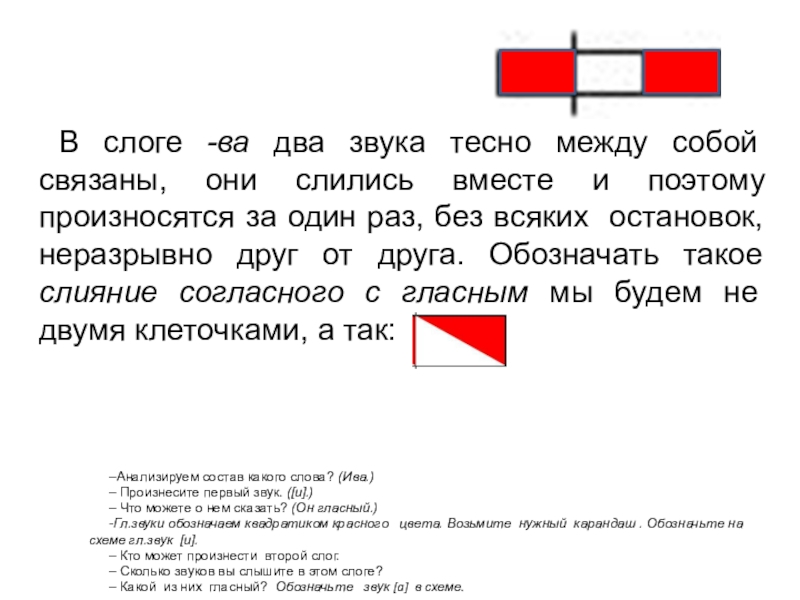 Схема слова ива