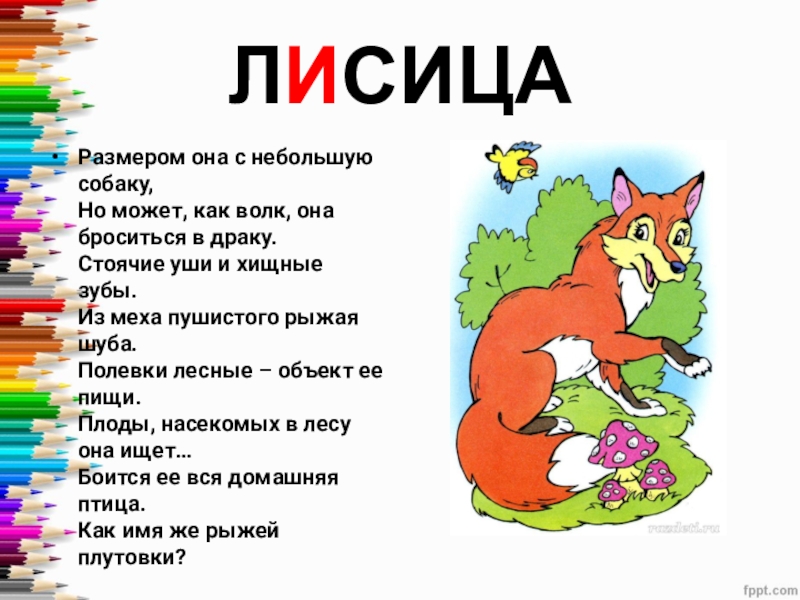 Текст волк и собака. Лиса 1 класс. Лисица предложение. Предложение со словом лиса. Фразеологизмы лиса.