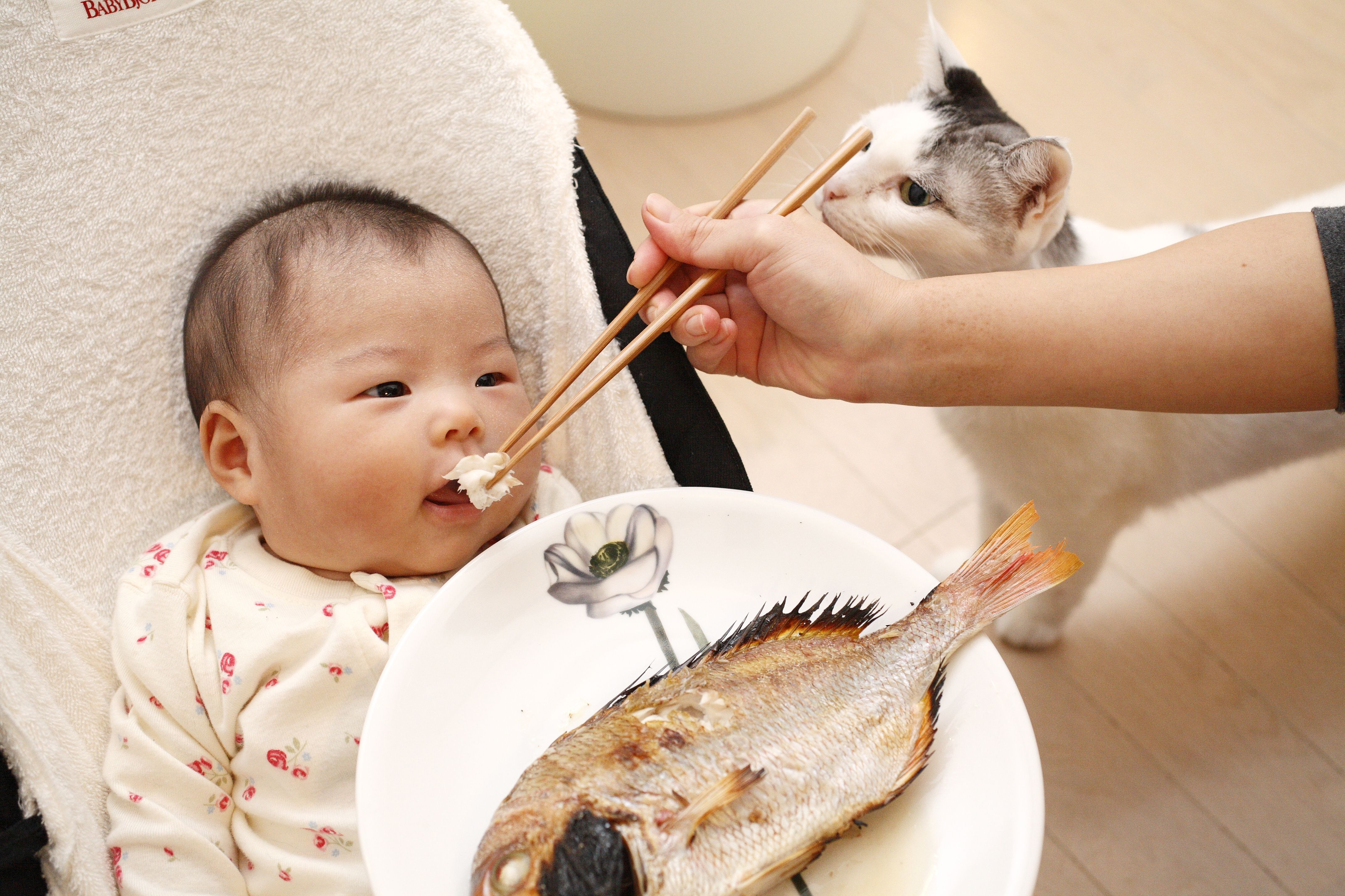 Можно ли давать детям рыбу. Еда для детей. Рыба в питании дошкольников. Рыба для пищи детей. Ребенок ест рыбу.