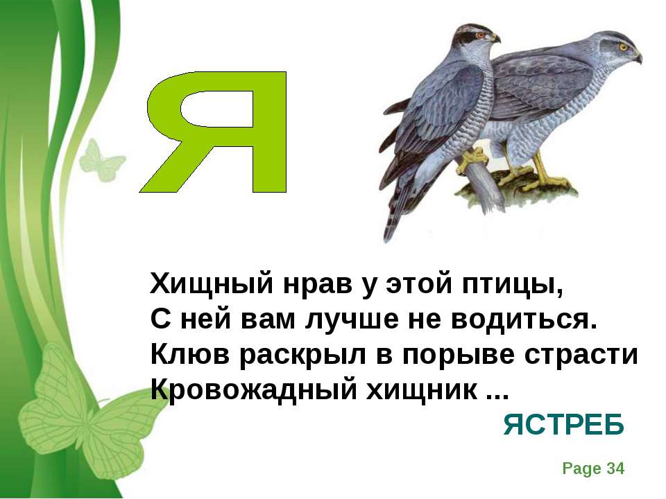 Птицы на букву ь. Загадки про животных на букву я. Алфавит птиц. Загадка про ястреба. Загадки про букву я для детей.