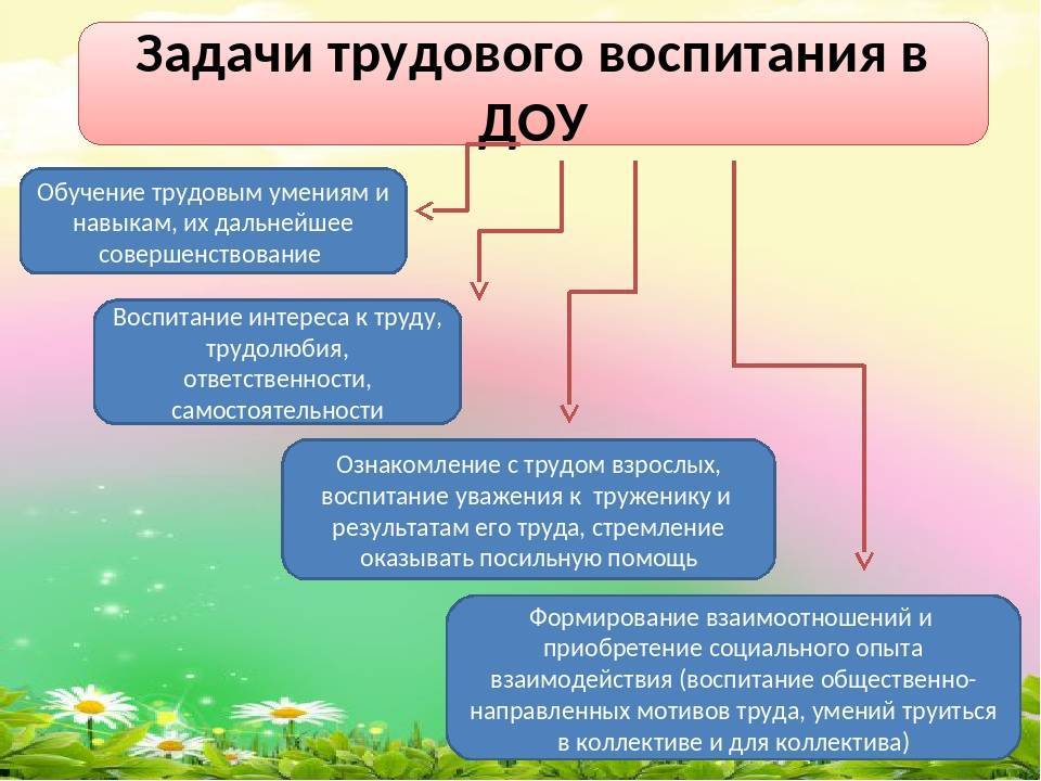 Трудовое воспитание дошкольников презентация