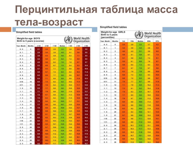 Измерение роста по фото