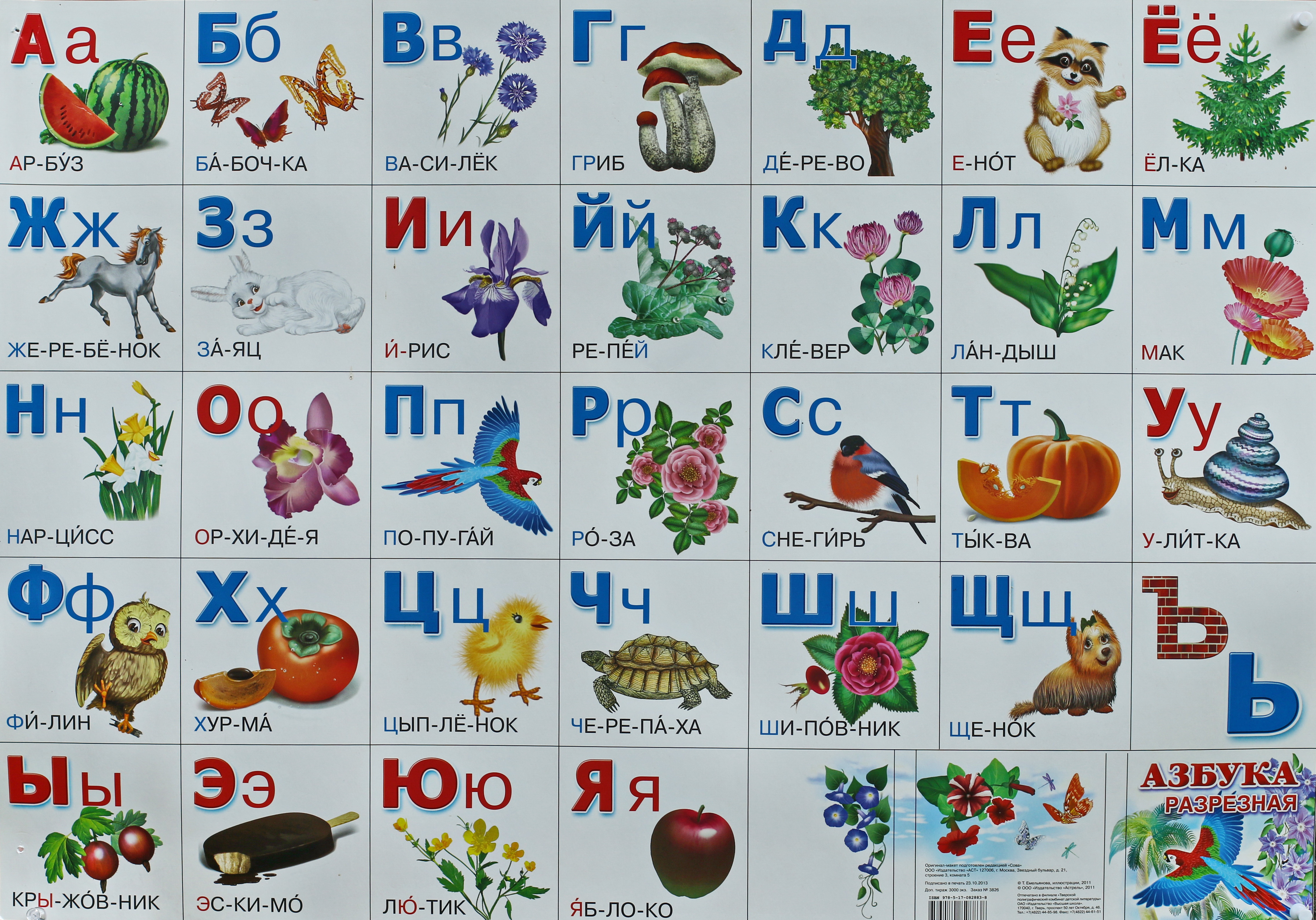 Русский алфавит картинки