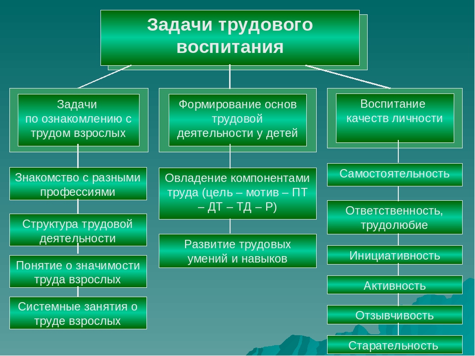 Представьте план работы с родителями по решению задач трудового воспитания дошкольников