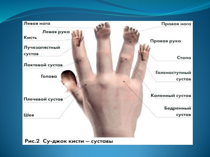 Правый пальчик. Точки соответствия на стопе Су Джок. Акумптурные точки на руке. Биологически активные точки на руке человека. Биологически активные точки на кисти.