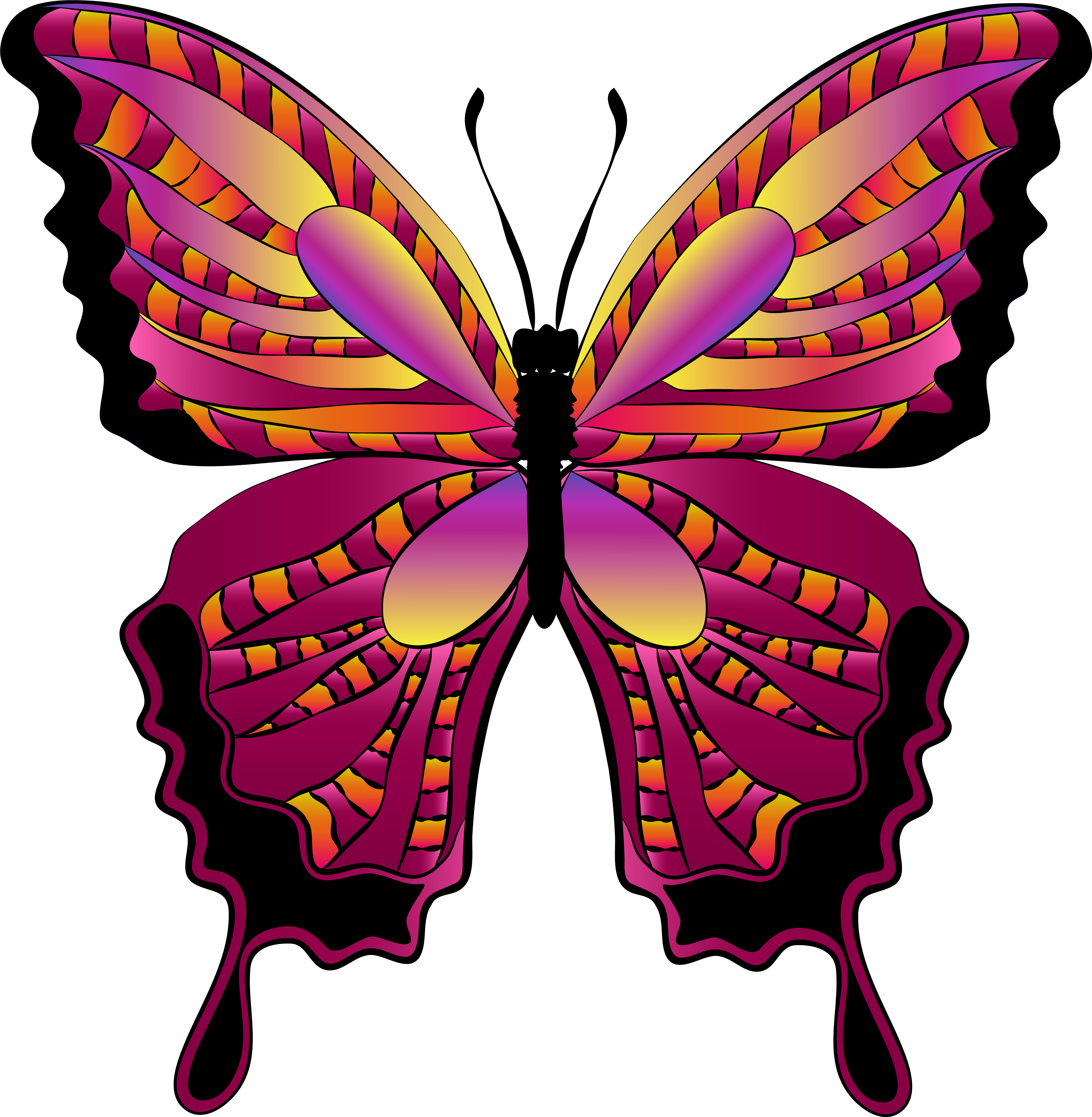 Бабочки цветные картинки для вырезания. Разноцветные бабочки. Бабочка рисунок. Бабочки цветные. Бабочки красивые цветные.