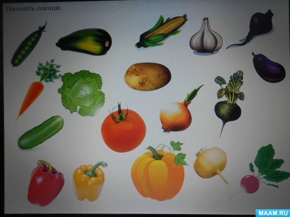 Игра овощи младшая группа. Овощи логопедическое занятие. Овощи фрукты логопед. Тема овощи в младшей группе. Для логопеда овощи развивающие.