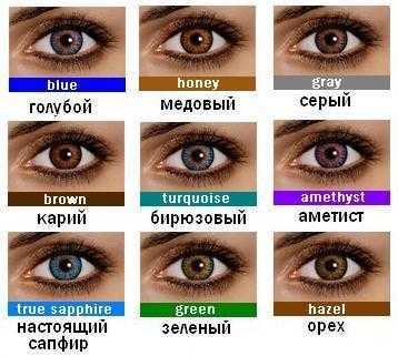 Определение цвета глаз по фото