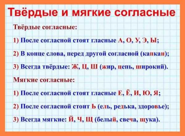 Звуковая модель слова ошибка схема