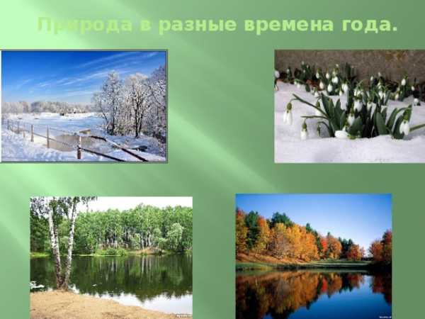 Природа проверочное. Природа словарное слово. Природа как проверить и.