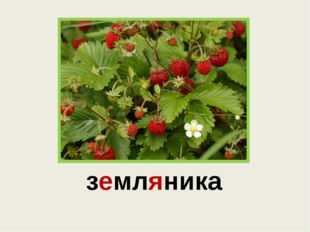 Земляника составить из букв. Карточка земляника. Земляника словарное. Слово земляника. Клубника словарное слово.