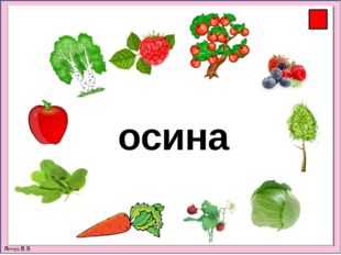 Словарное слово земляника 2 класс. Словарные слова растения. Работа со словарном словом растение. Сложные слова растения. Трава словарное слово.