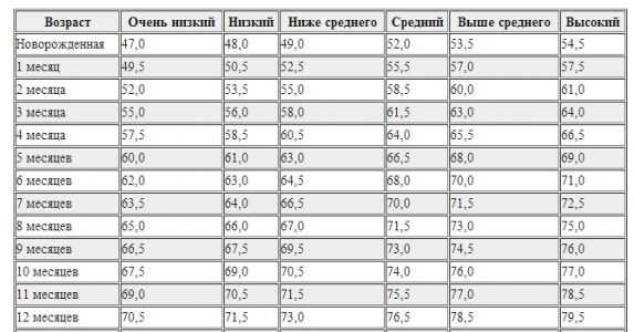 Определение веса по фото